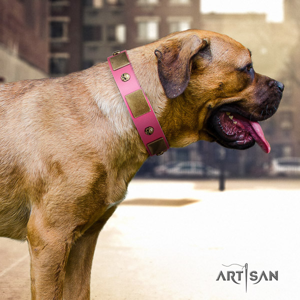 Cane Corso incredible full grain natural leather dog collar for handy use