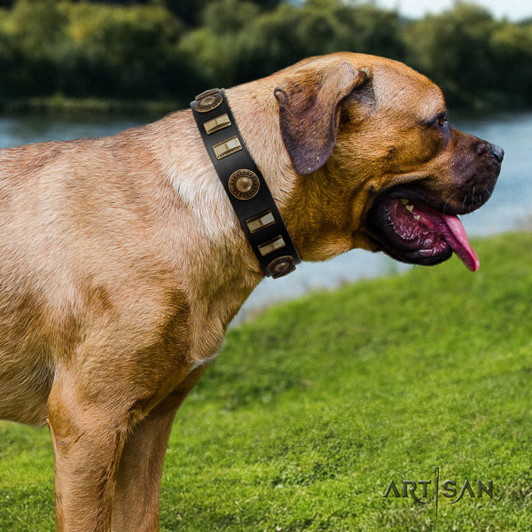 Cane Corso top quality full grain genuine leather dog collar for fancy walking