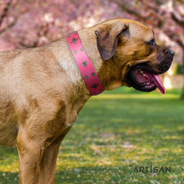 Cane Corso handmade natural genuine leather dog collar for daily use