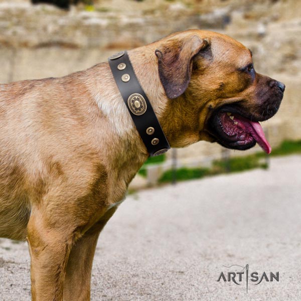 Cane Corso soft adorned natural genuine leather collar