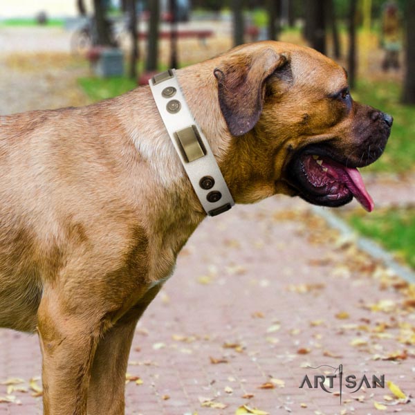 Cane Corso decorated collar made of top notch natural genuine leather