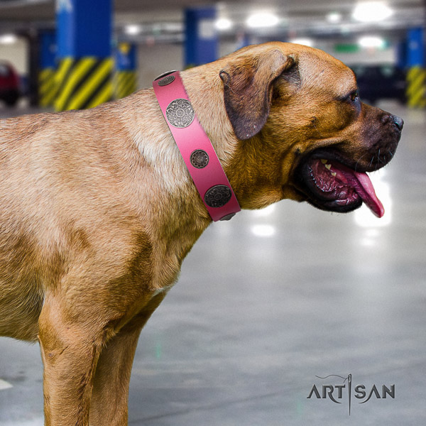 Cane Corso adorned leather dog collar for comfortable wearing