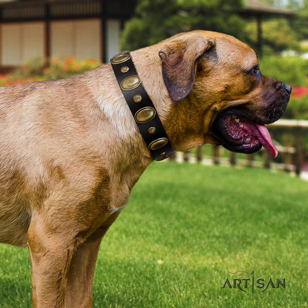 Cane Corso easy to adjust genuine leather dog collar for walking