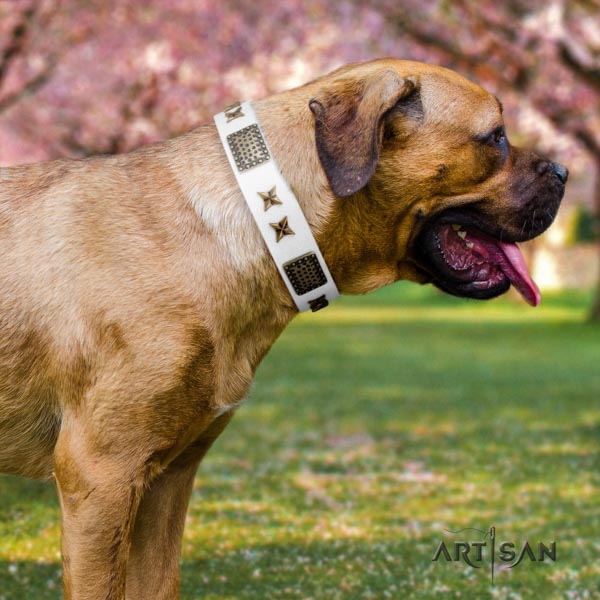 Cane Corso adorned collar made of durable natural genuine leather