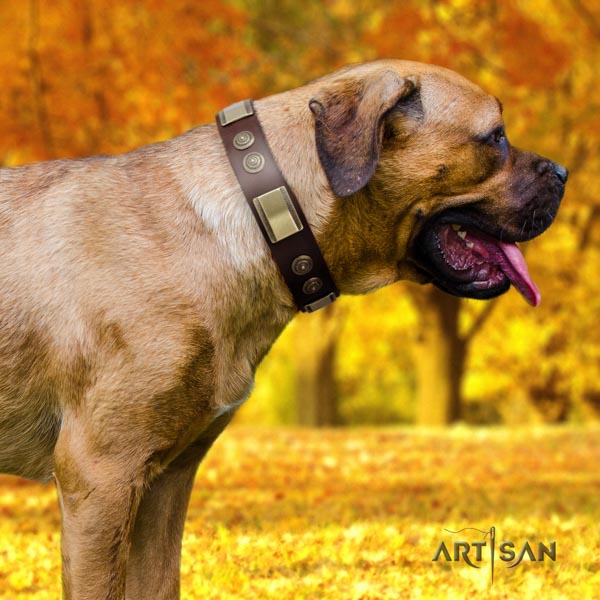 Cane Corso decorated collar made of durable genuine leather