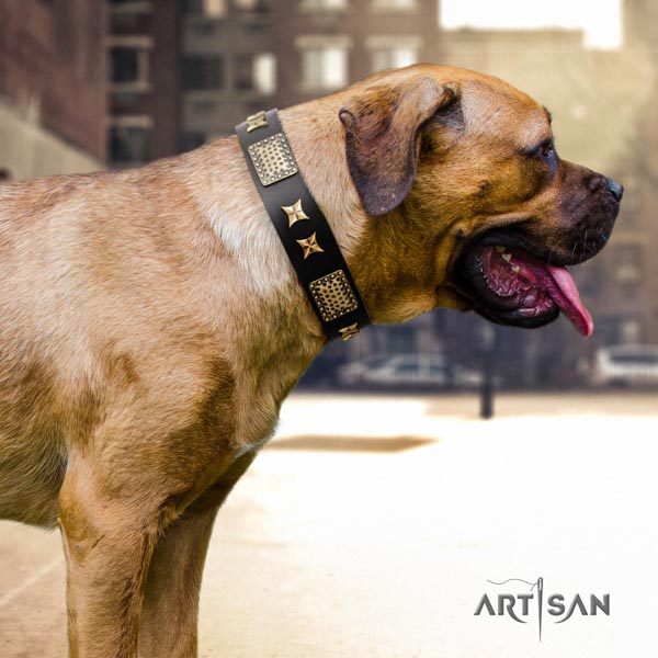 Cane Corso embellished collar made of high quality natural genuine leather