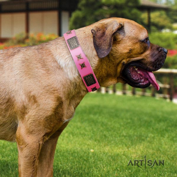 Cane Corso decorated collar made of gentle to touch full grain leather