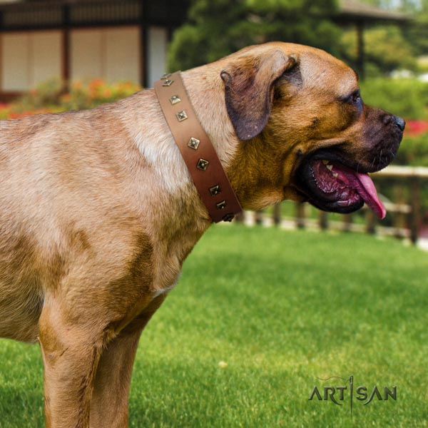 Cane Corso adorned collar made of reliable full grain genuine leather