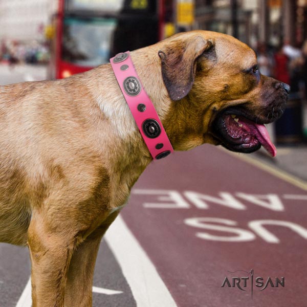 Cane Corso gentle to touch embellished leather collar