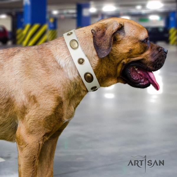 Cane Corso decorated collar made of soft to touch full grain genuine leather