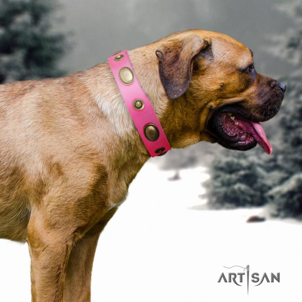 Cane Corso decorated collar made of strong full grain genuine leather