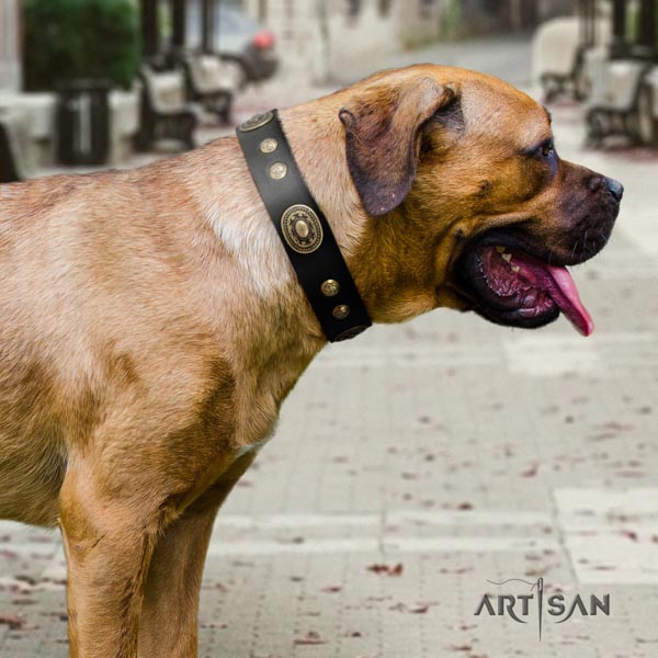 Cane Corso adorned collar made of flexible leather