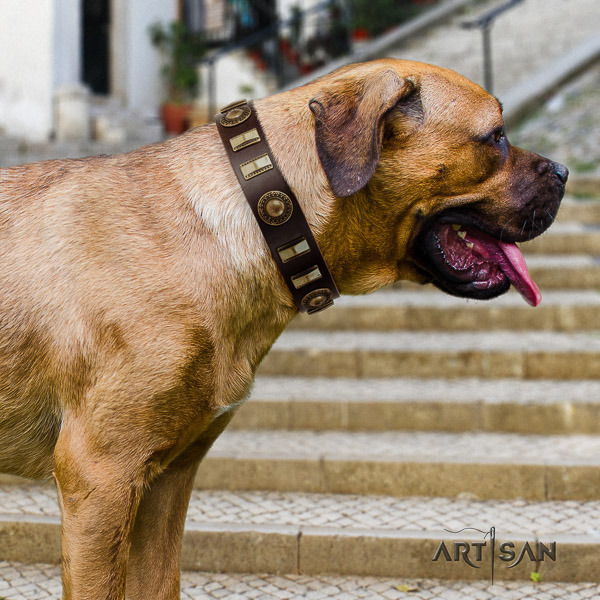 Cane Corso stylish design full grain genuine leather dog collar for comfy wearing
