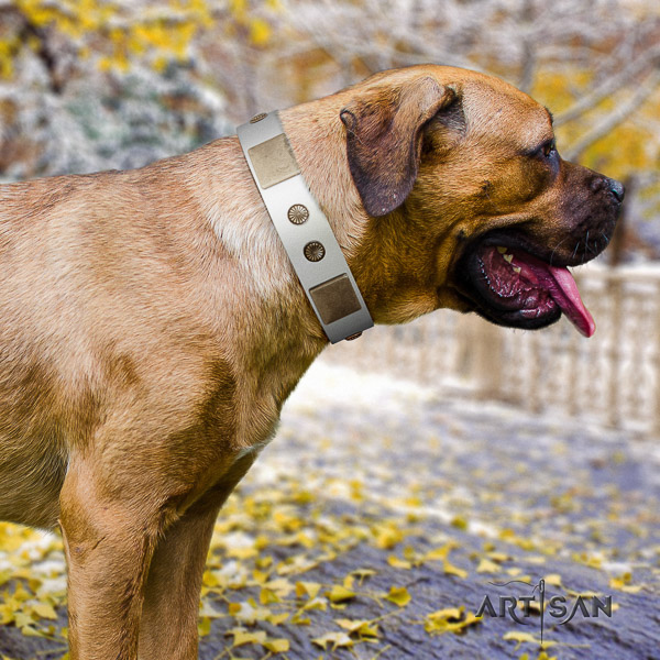Cane Corso inimitable full grain genuine leather dog collar for fancy walking