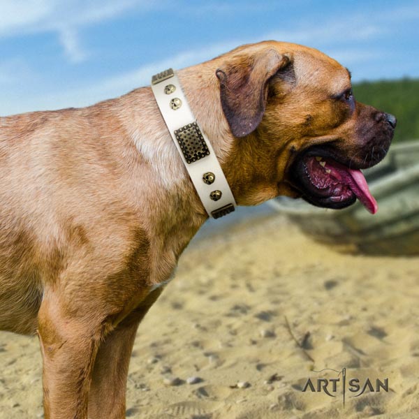 Cane Corso decorated collar made of quality full grain leather