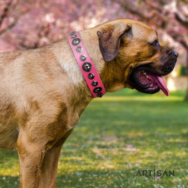 Cane Corso top notch studded full grain genuine leather collar