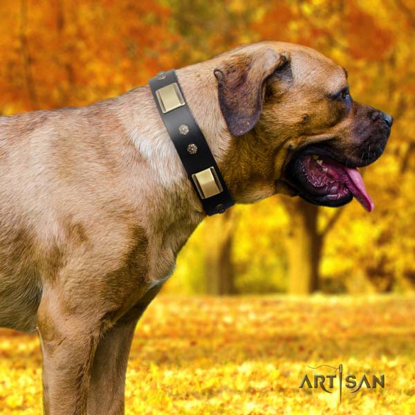 Cane Corso embellished collar made of flexible genuine leather