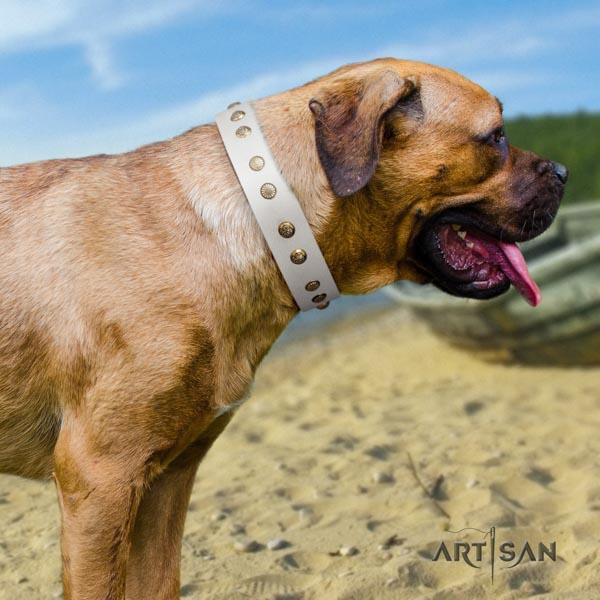 Cane Corso studded collar made of flexible leather