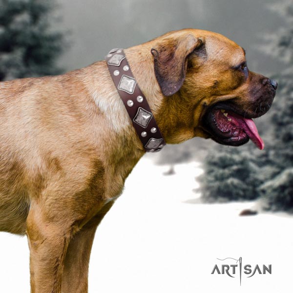 Cane Corso top notch adorned genuine leather collar