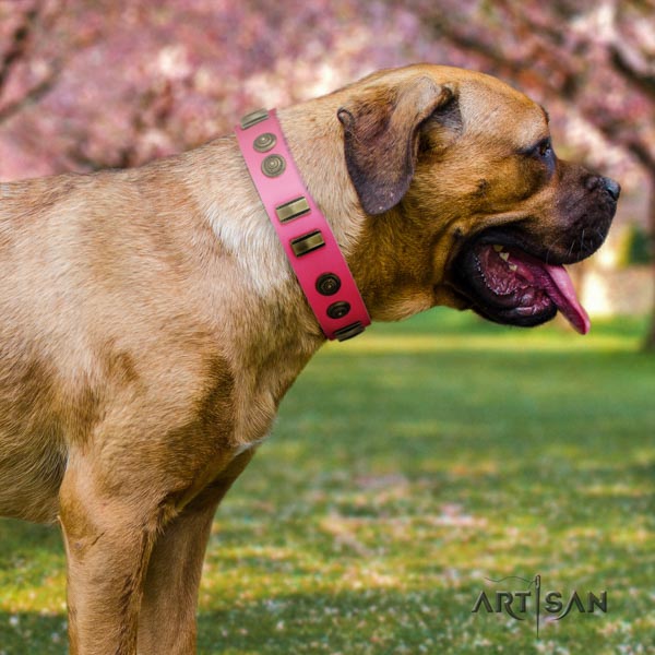 Cane Corso decorated collar made of reliable full grain leather