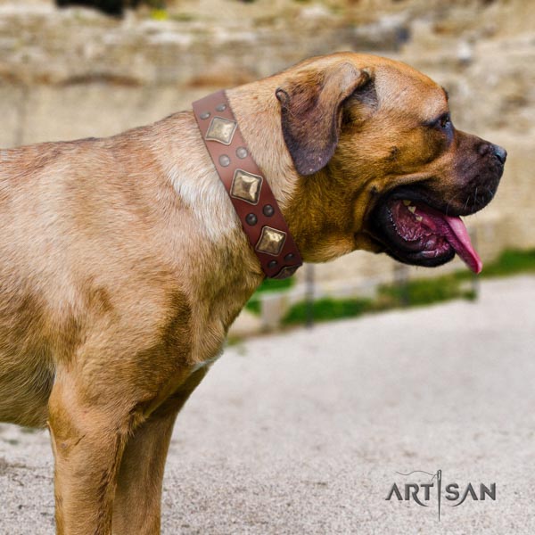 Cane Corso decorated collar made of flexible full grain leather
