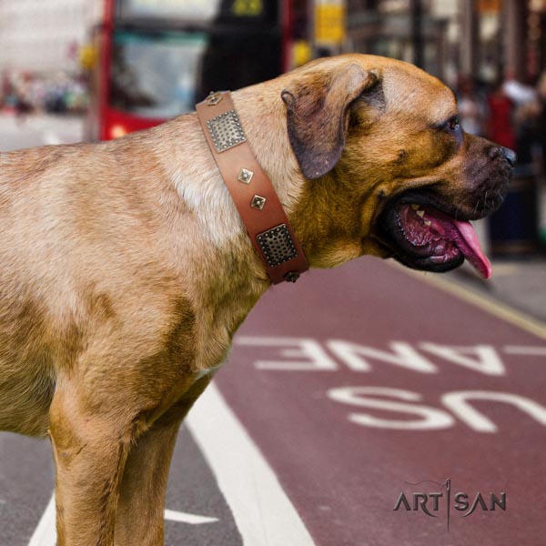 Cane Corso decorated collar made of quality full grain natural leather