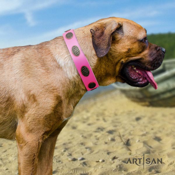 Cane Corso adorned collar made of best quality full grain genuine leather