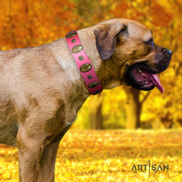 Cane Corso easy adjustable full grain leather dog collar for comfortable wearing