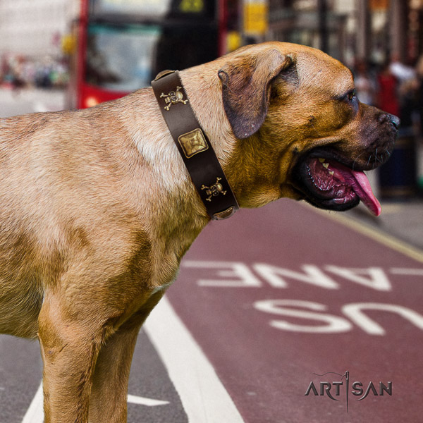 Cane Corso stunning full grain genuine leather dog collar for everyday use