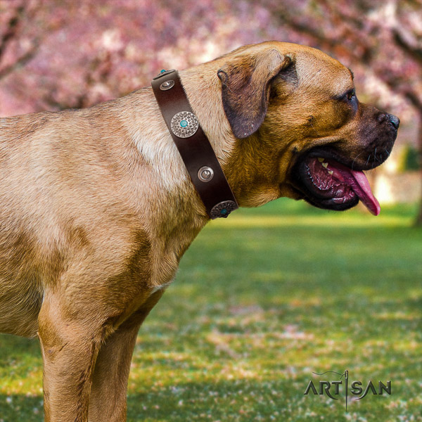 Cane Corso unusual natural genuine leather dog collar for easy wearing