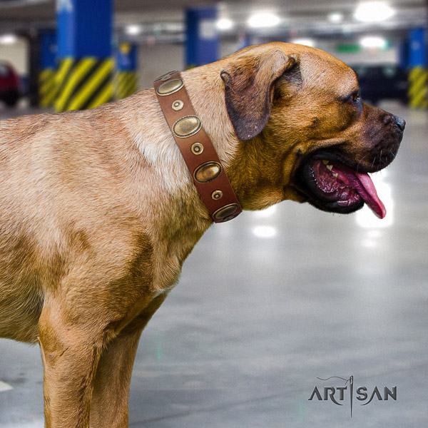 Cane Corso best quality leather dog collar for basic training