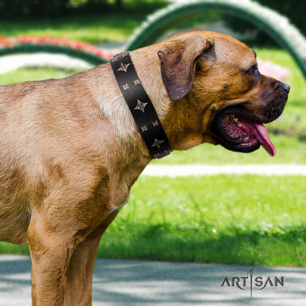 Cane Corso stylish leather dog collar for daily use