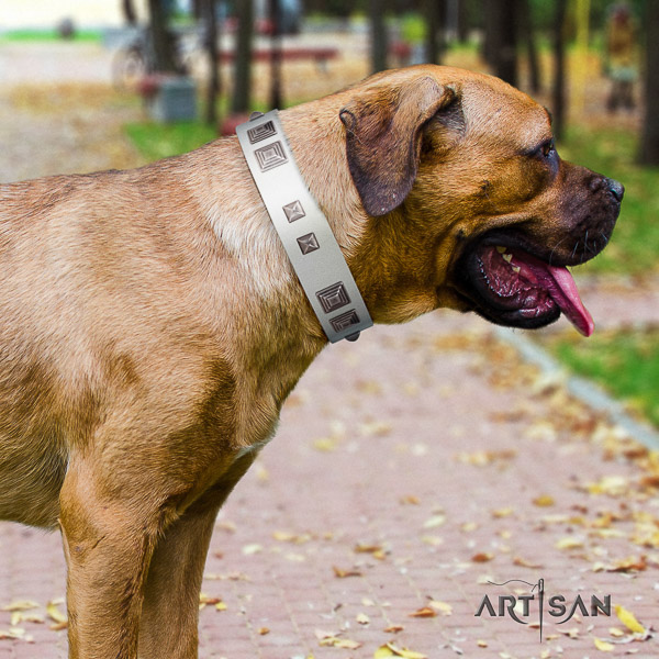 Cane Corso top notch full grain natural leather dog collar for comfortable wearing