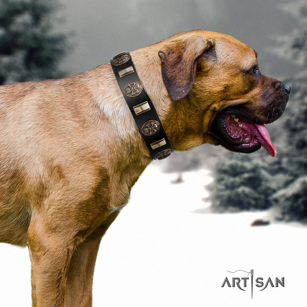 Cane Corso trendy full grain natural leather dog collar for everyday walking
