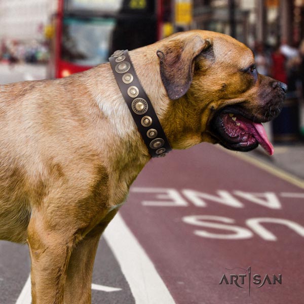 Cane Corso gentle to touch decorated full grain natural leather collar