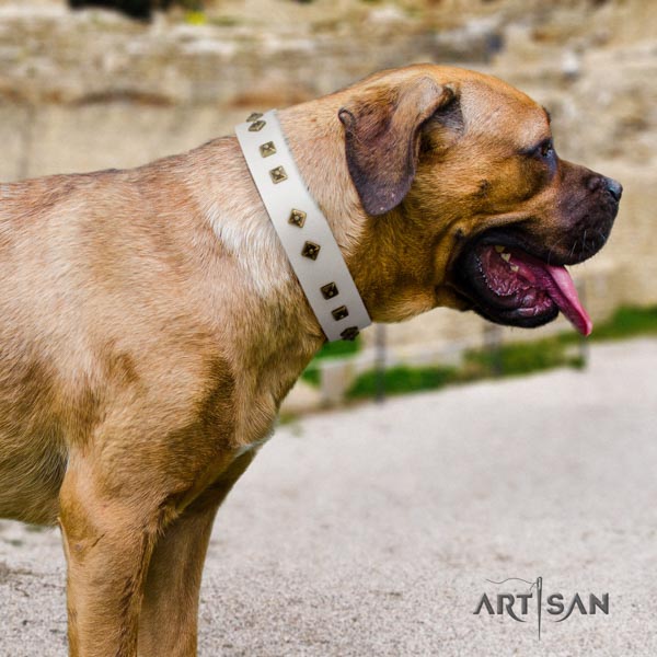 Cane Corso decorated collar made of best quality genuine leather