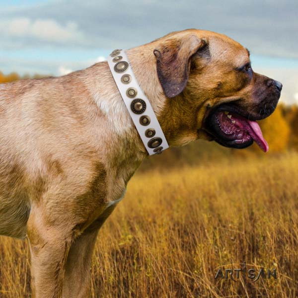 Cane Corso soft adorned full grain genuine leather collar