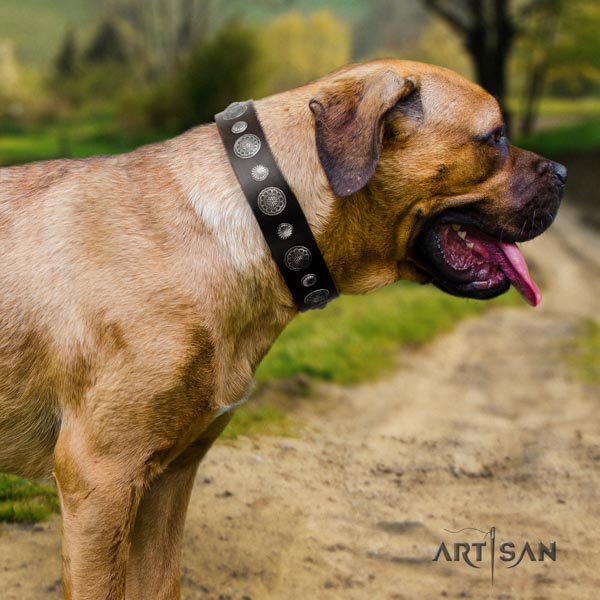 Cane Corso adorned collar made of quality leather