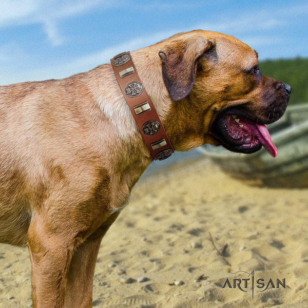 Cane Corso exquisite full grain natural leather dog collar for comfortable wearing