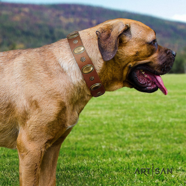 Cane Corso comfortable full grain genuine leather dog collar for daily walking