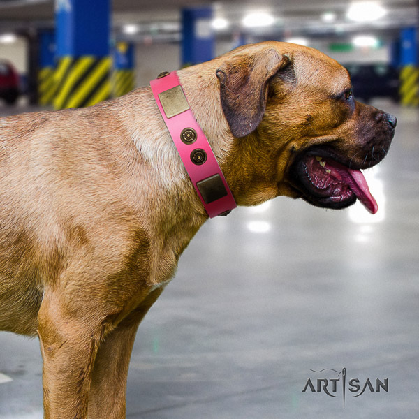 Cane Corso stylish design full grain natural leather dog collar for stylish walking