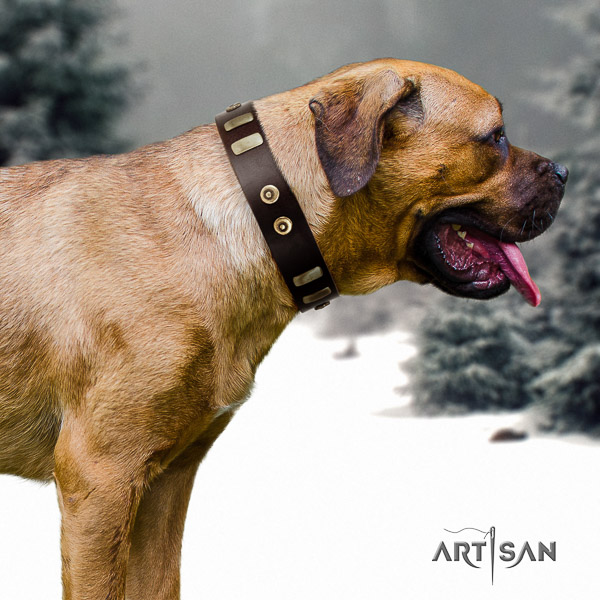 Cane Corso embellished full grain natural leather dog collar for daily walking