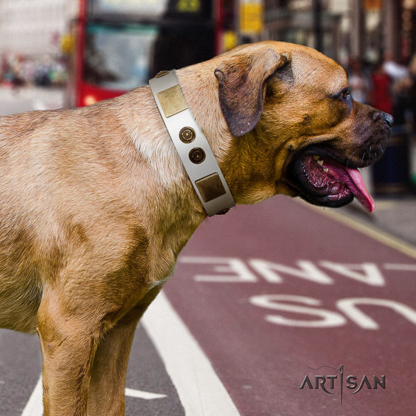 Cane Corso stylish design natural genuine leather dog collar for daily use