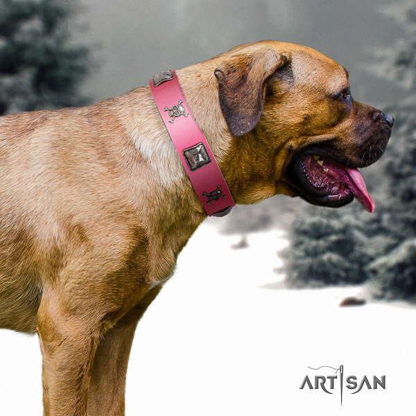 Cane Corso exquisite full grain genuine leather dog collar for everyday walking