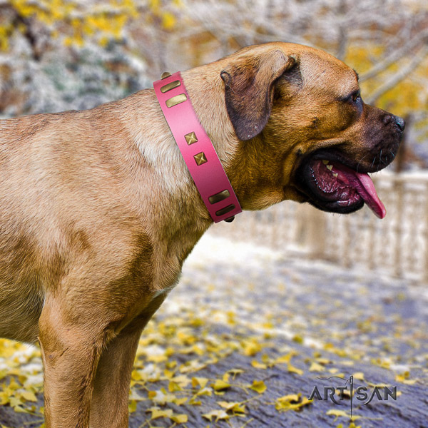 Cane Corso trendy full grain natural leather dog collar for fancy walking