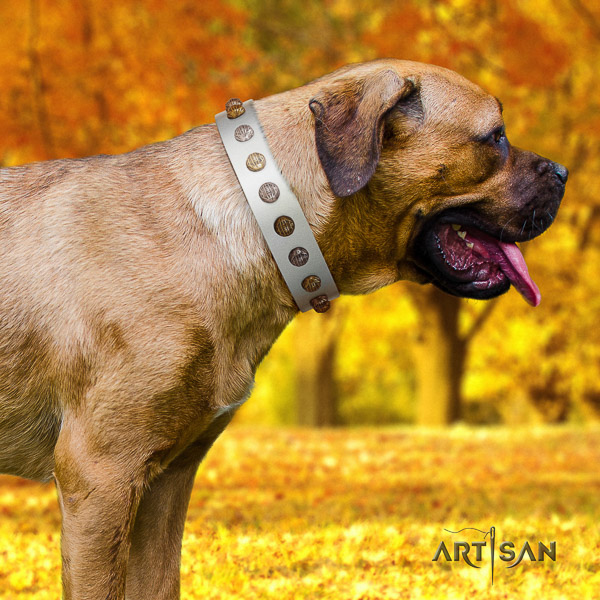 Cane Corso impressive full grain genuine leather dog collar for fancy walking