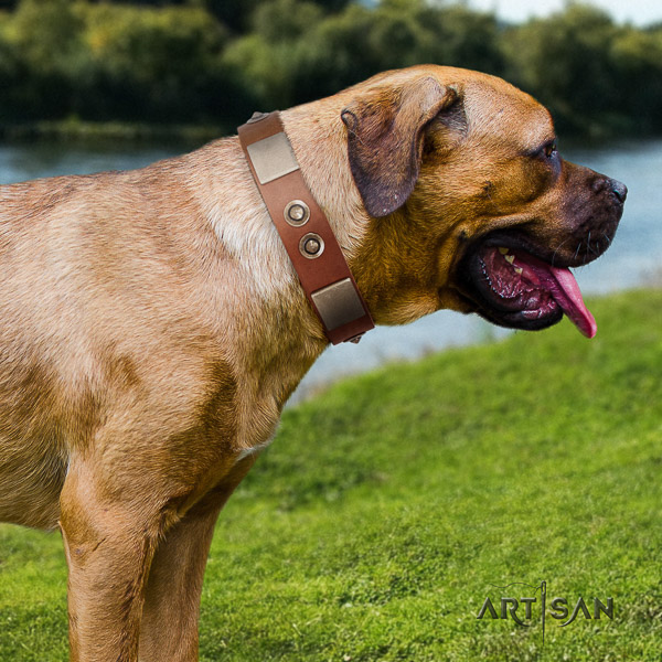 Cane Corso embellished full grain leather dog collar for daily use