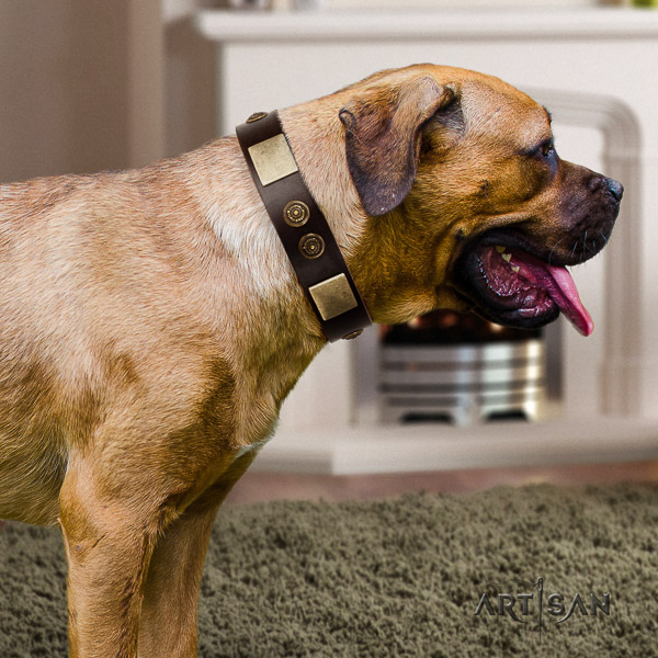 Cane Corso exceptional natural genuine leather dog collar for daily use