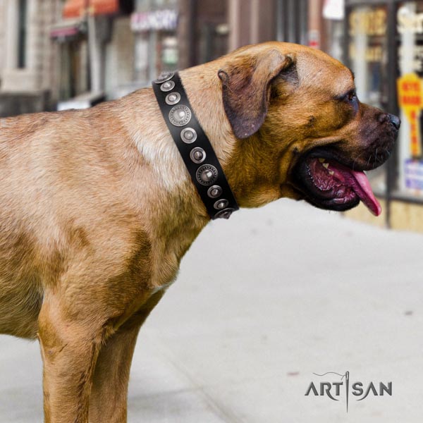 Cane Corso strong embellished natural genuine leather collar