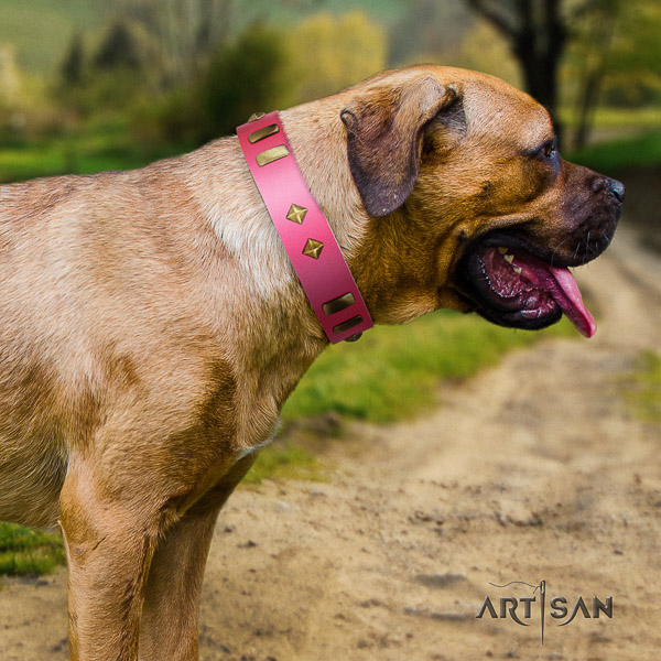 Cane Corso fine quality natural genuine leather dog collar for everyday use